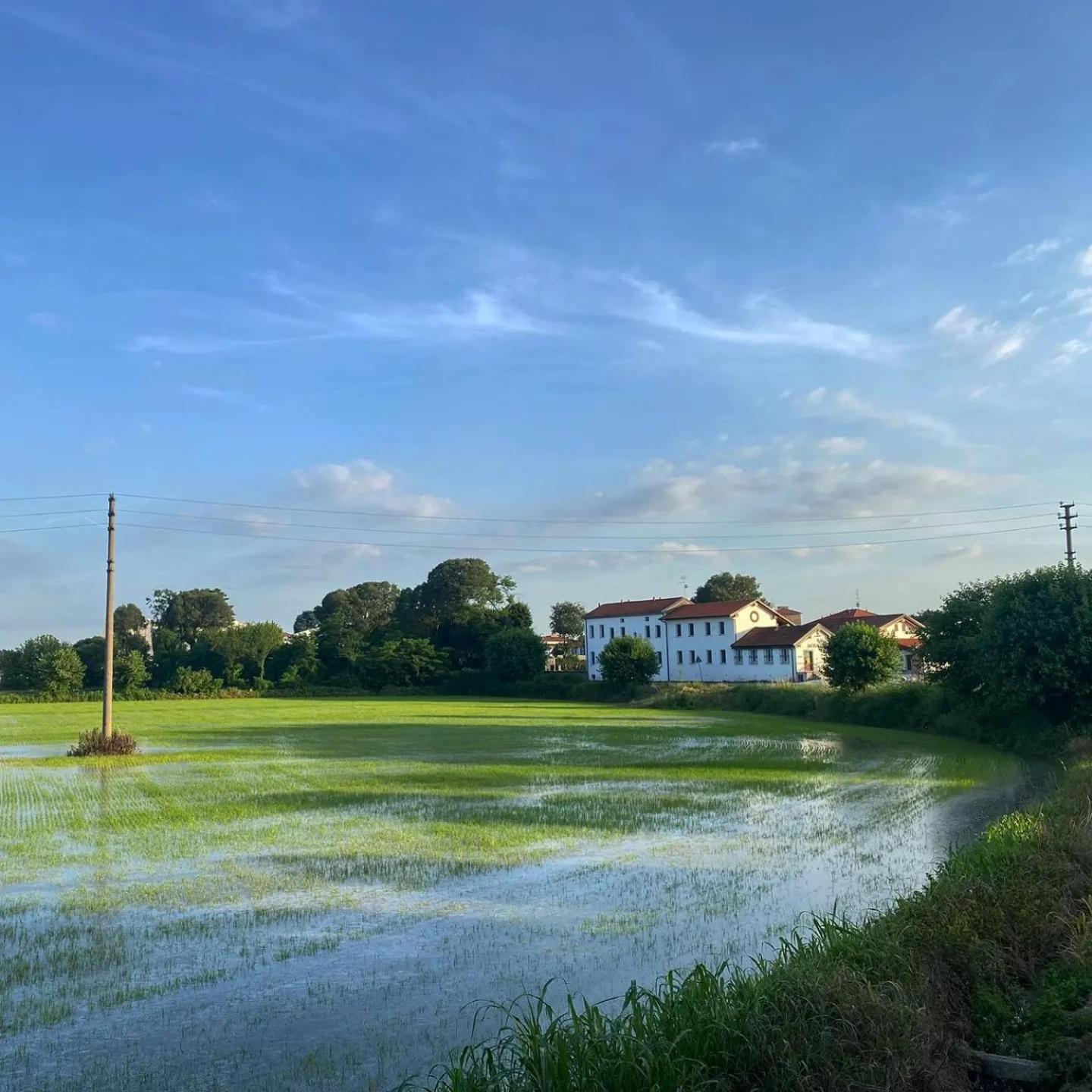 Villa Cascina Mora Bassa Vigevano Exterior foto